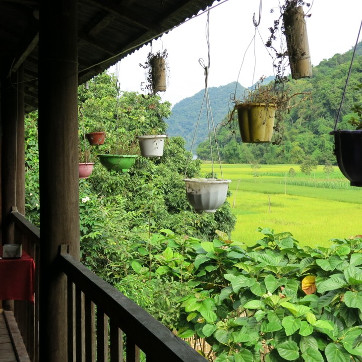 Pac Ngoi, un petit paradis éco-touristique   - ảnh 4